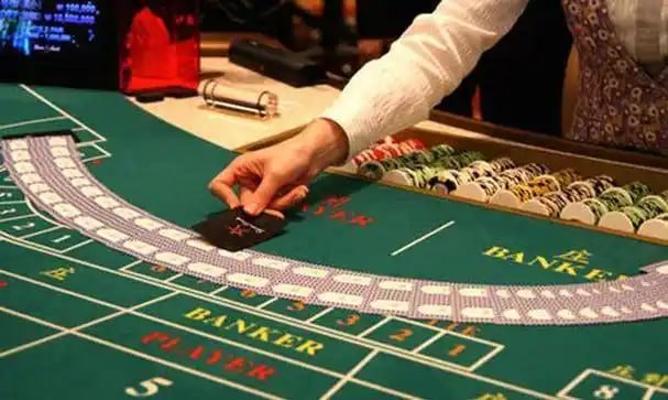 bet 488