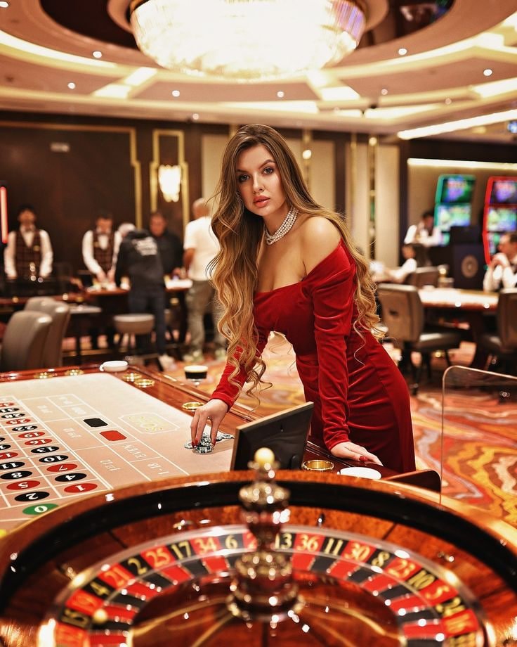 bet 488